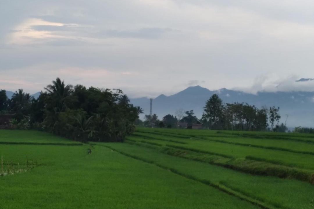 Photo of Outdoor in Garut