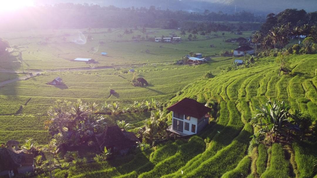 Photo of Outdoor in Wisma Kerta