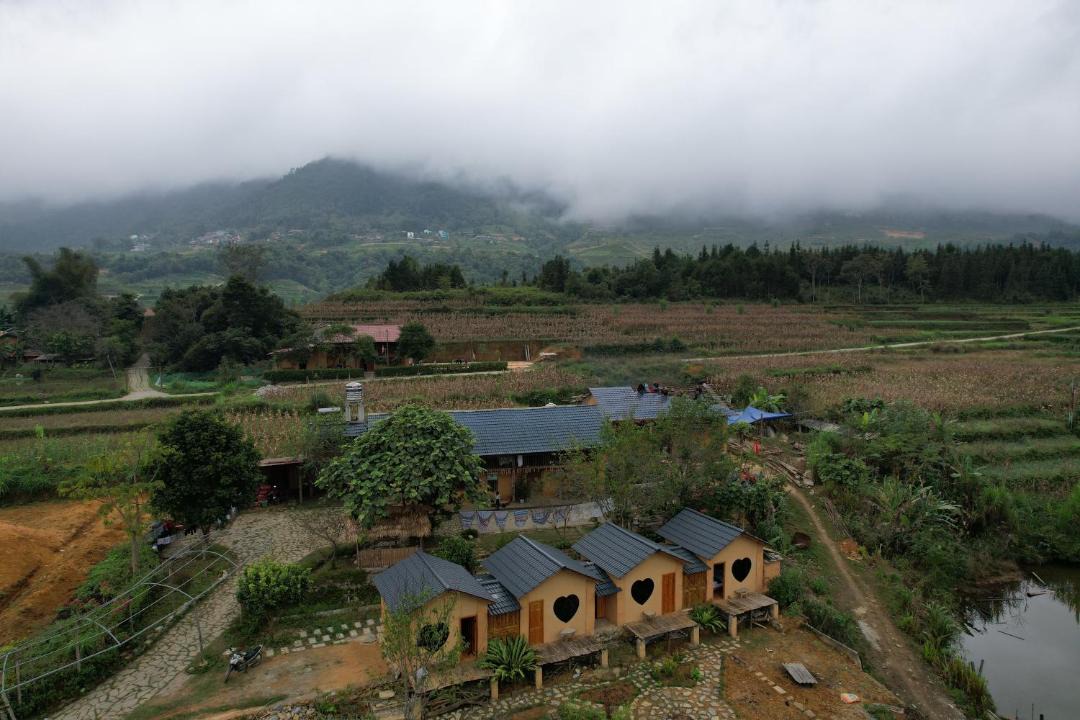 Photo of Others in Quan Ba