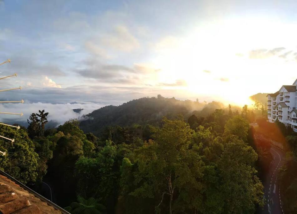 Photo of Outdoor in Bukit Fraser