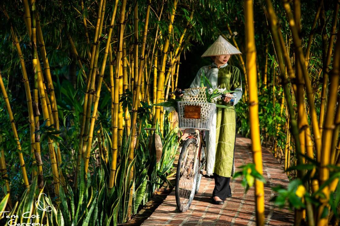 Photo of Others in Hoa Lu
