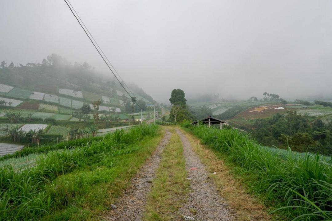 Photo of Others in Hargomulyo