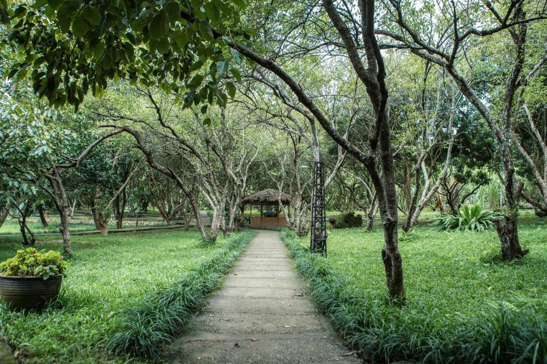 Photo of Others in Kim Boi