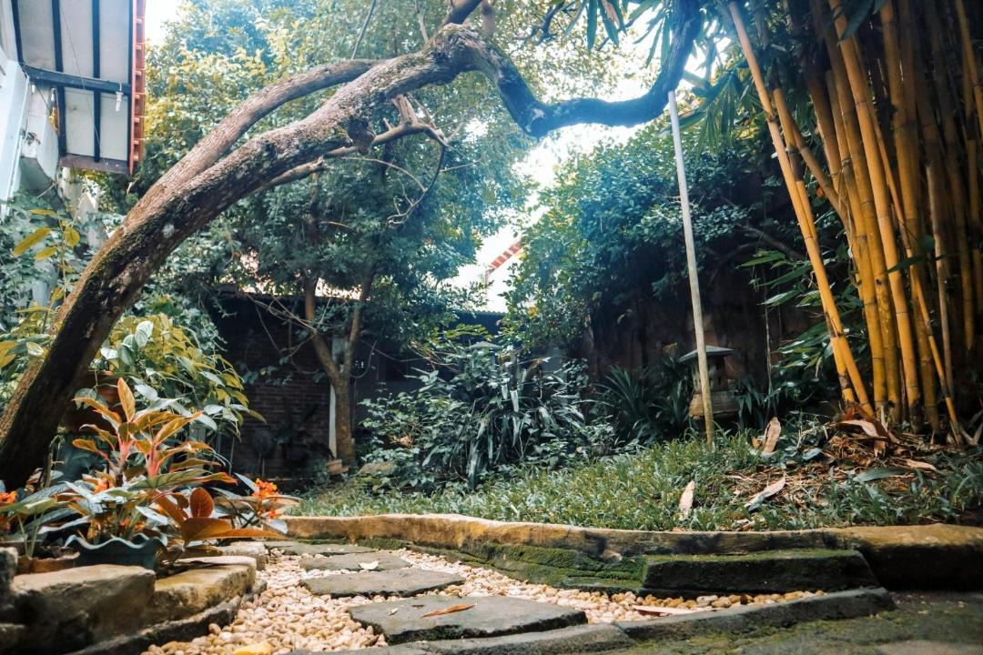 Photo of Others in Banjarasri
