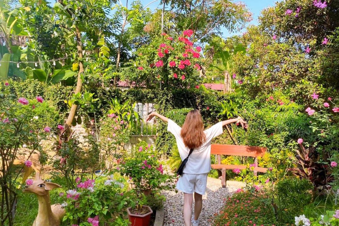 Photo of Others in Cao Bang