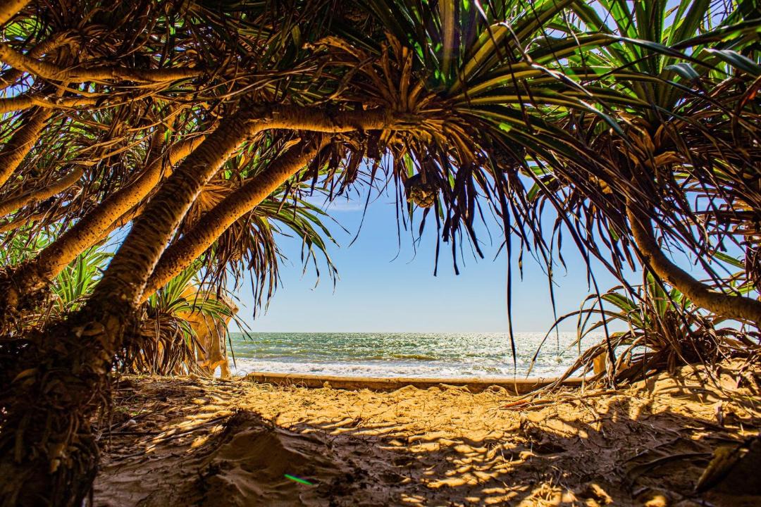 Photo of Others in Phan Thiet