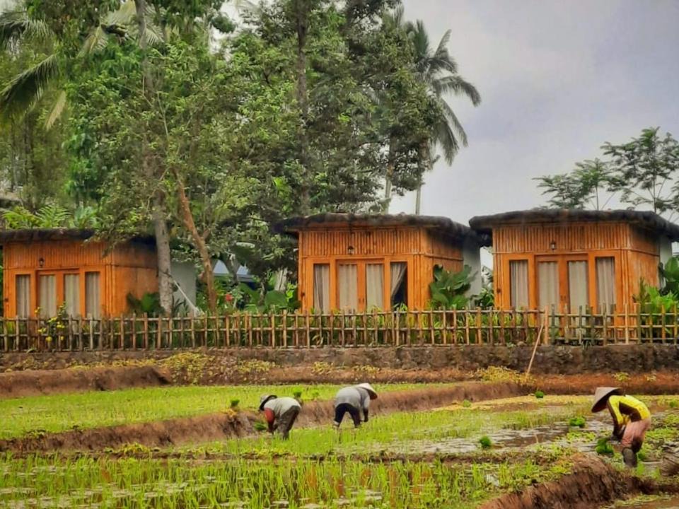 Photo of Buildings in Kayangan