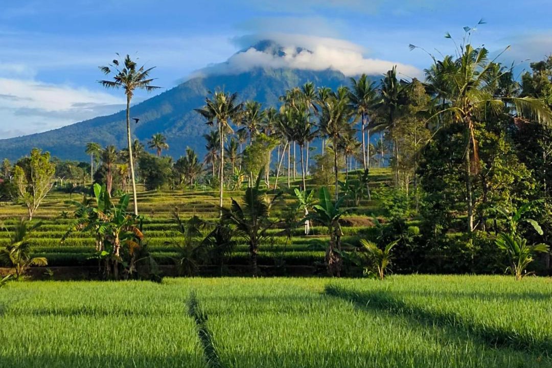 Photo of Others in Kayangan