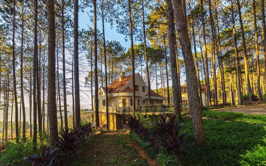 Photo of Buildings in Phuong 10