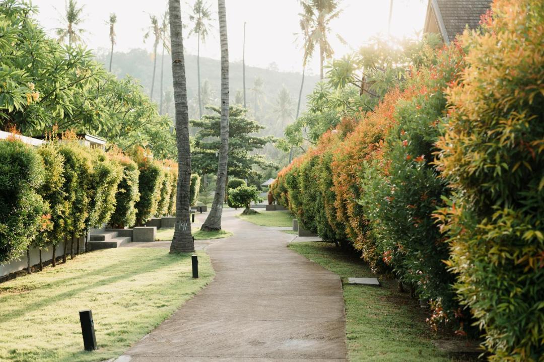 Photo of Outdoor in Pemenang