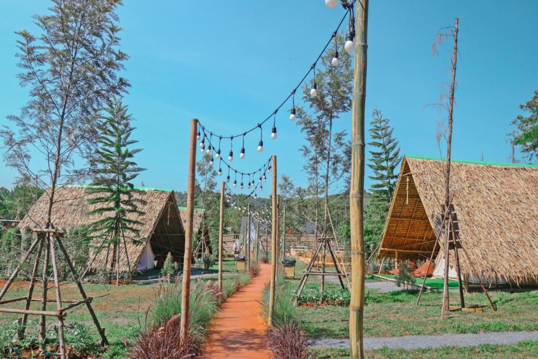 Photo of Others in Pong Ta Long