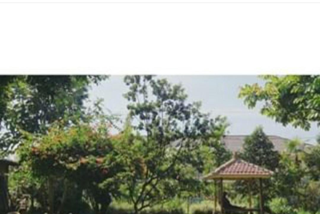 Photo of Others in Wonosobo