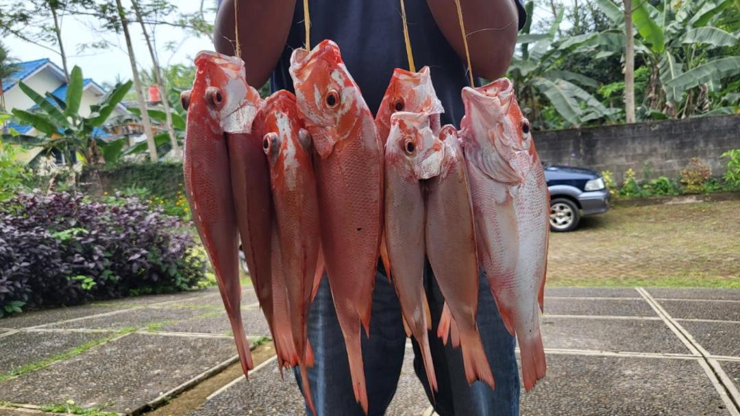 Photo of Others in Pasauran