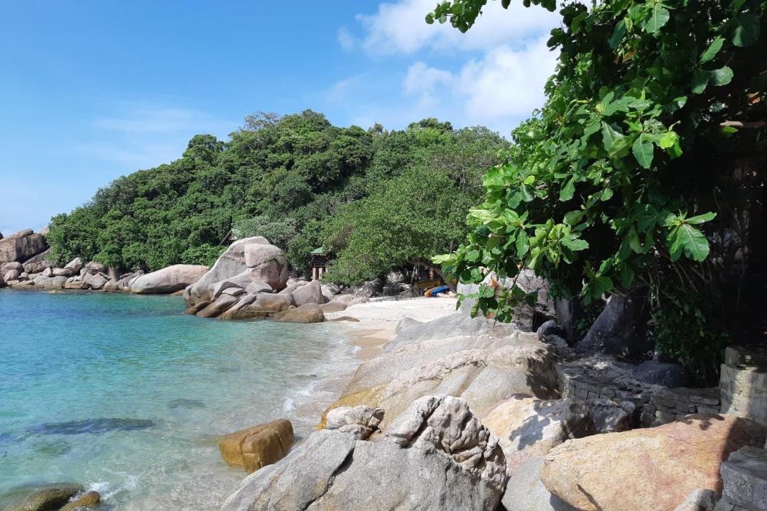 Photo of Others in Koh Tao