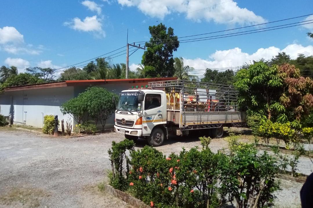 Photo of Others in Khura Buri