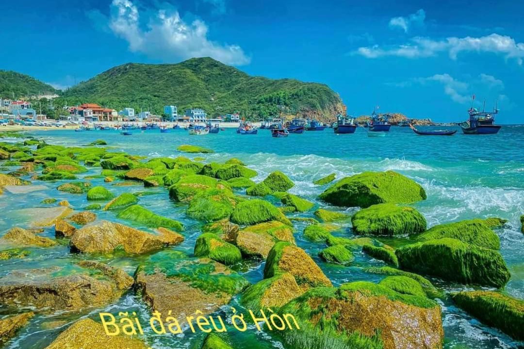 Photo of Others in Quy Nhon