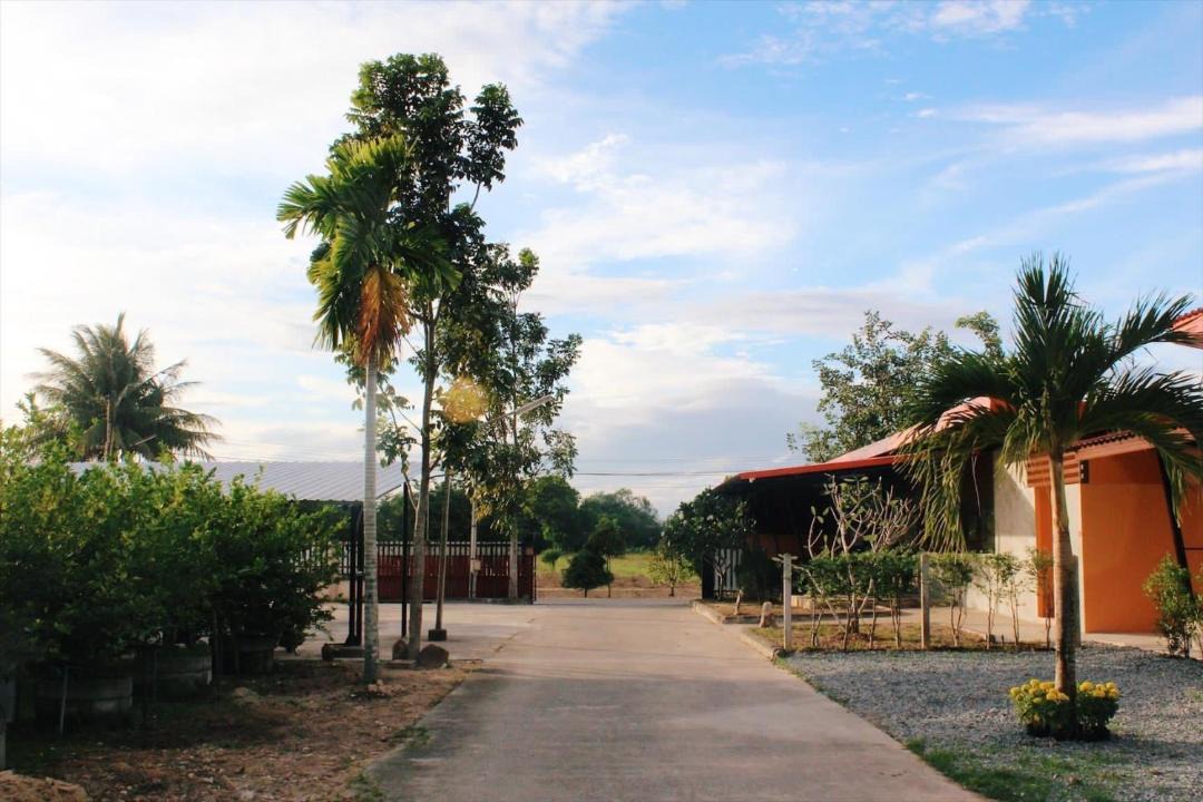 Photo of Buildings in Phlap Phla