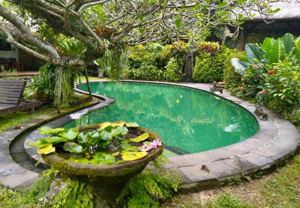 Photo of Outdoor in Pekutatan