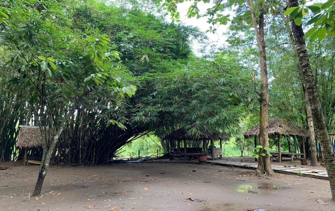 Photo of Others in Srimulyo