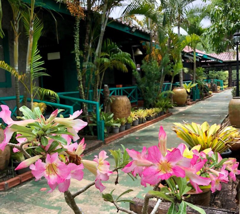 Photo of Others in Trat