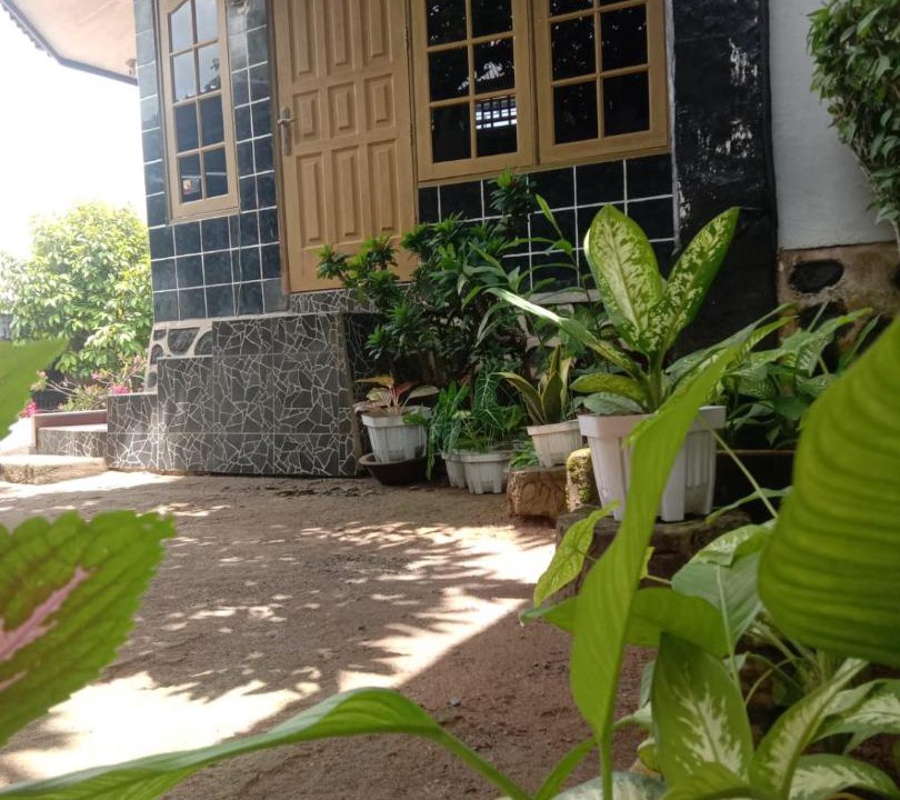 Photo of Buildings in Gerung