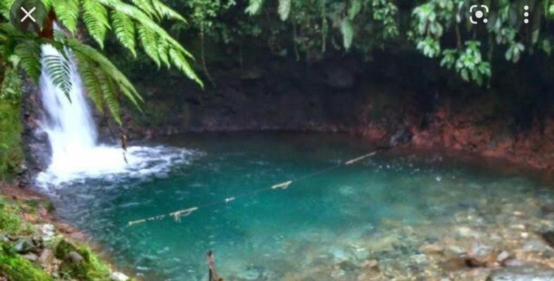 Photo of Outdoor in Pamijahan