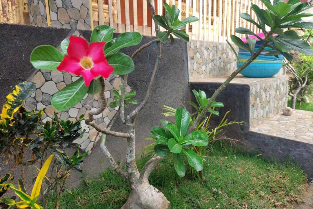 Photo of Others in Kuta