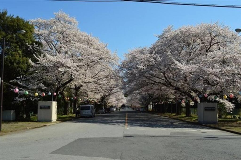 Photo of Others in Abiko