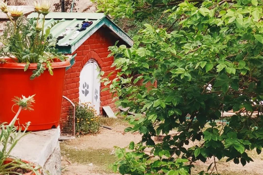 Photo of Others in Old Manali