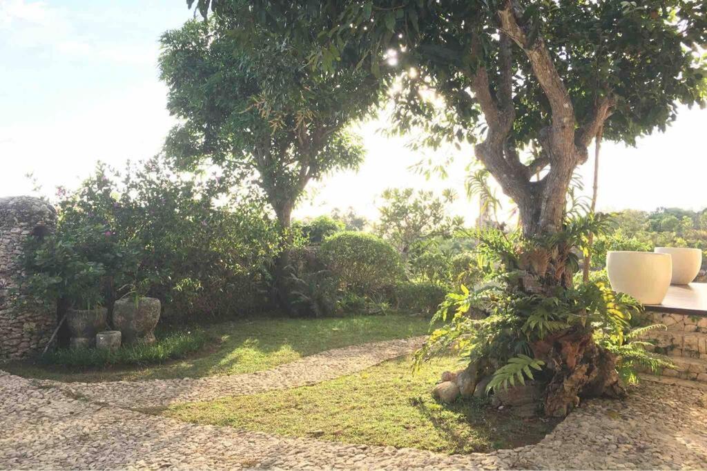 Photo of Outdoor in Penida Island