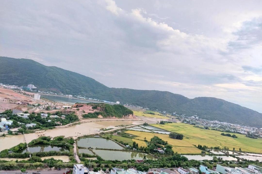Photo of Others in Quy Nhon