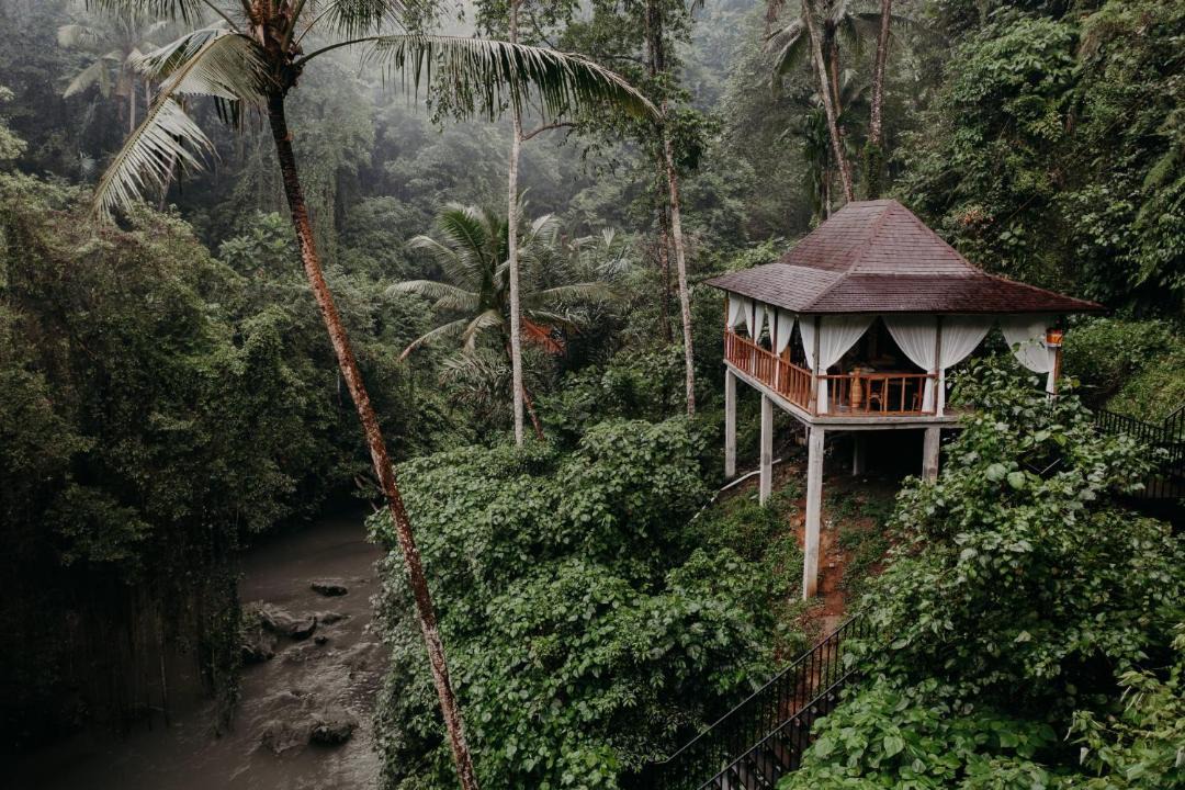 Photo of Others in Ubud