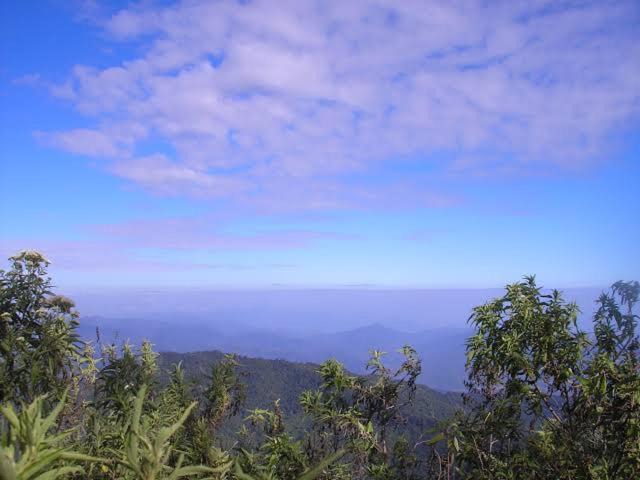 Photo of Outdoor in Moni