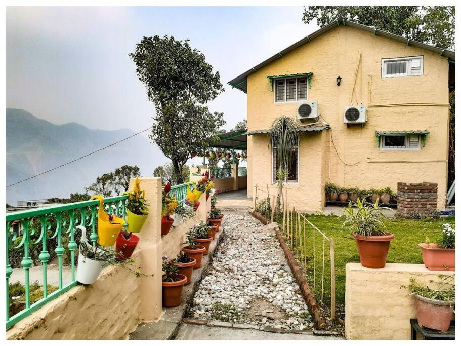 Photo of Others in Dehradun