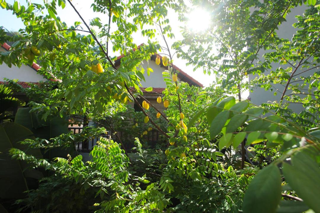 Photo of Others in Hoa Lu