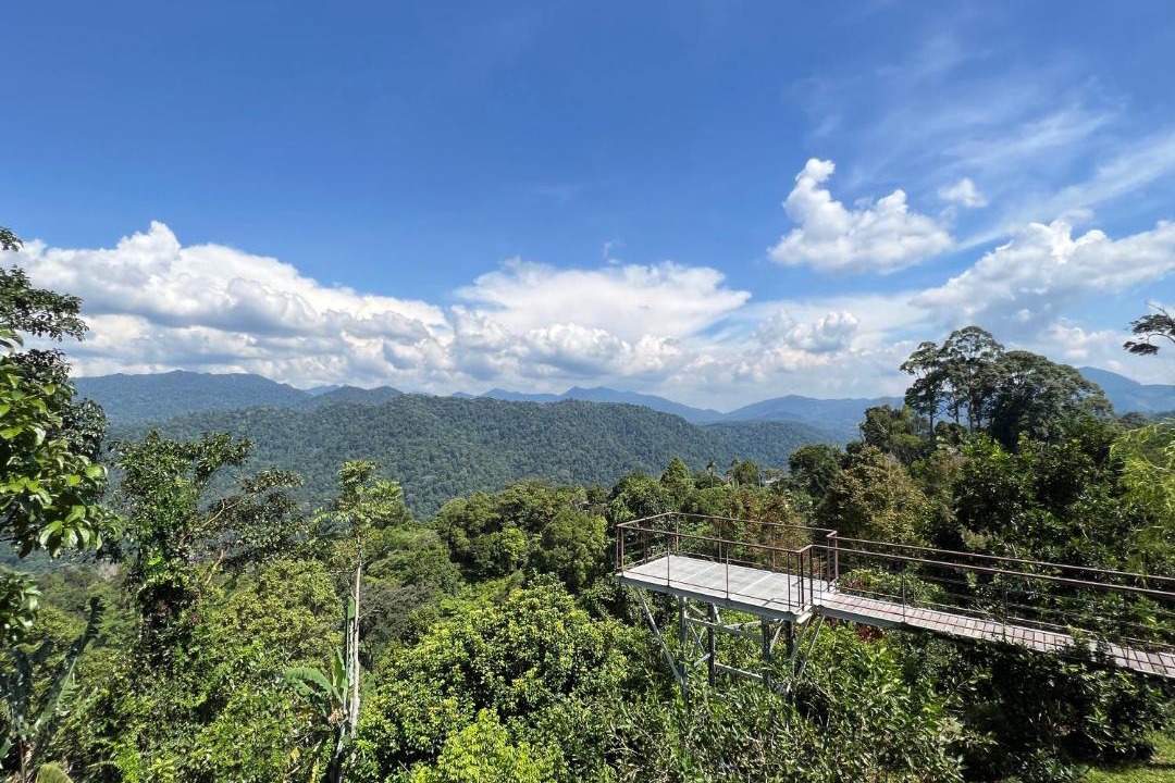 Photo of Others in Bukit Tinggi