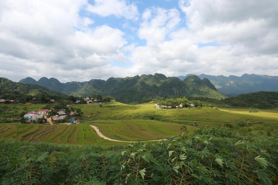 Photo of Others in Kho Muong