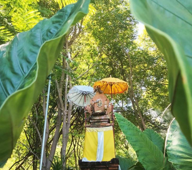 Photo of Others in Labuan Bajo