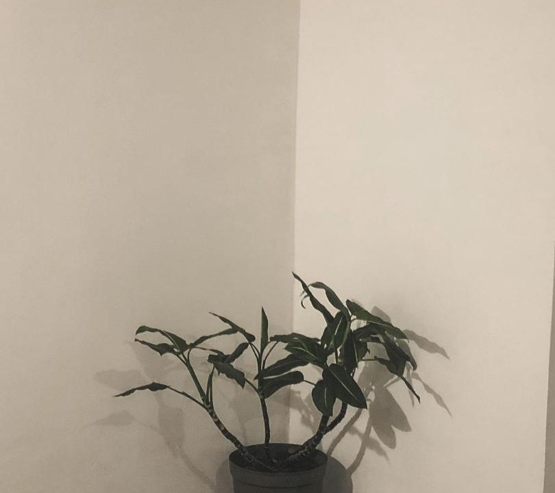 Photo of Bedroom in Cipaganti