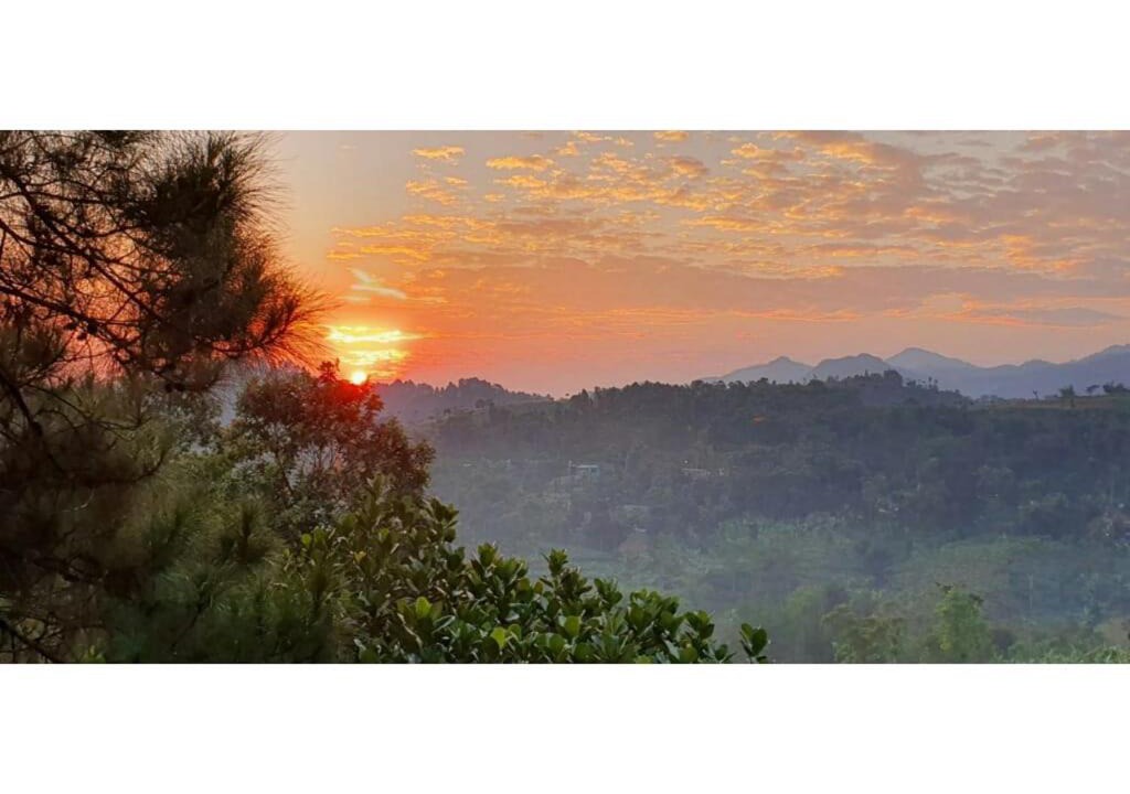 Photo of Outdoor in Pancawati