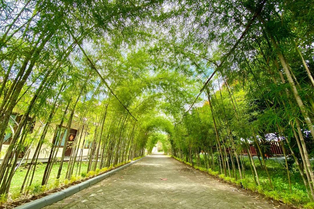 Photo of Outdoor in Manado