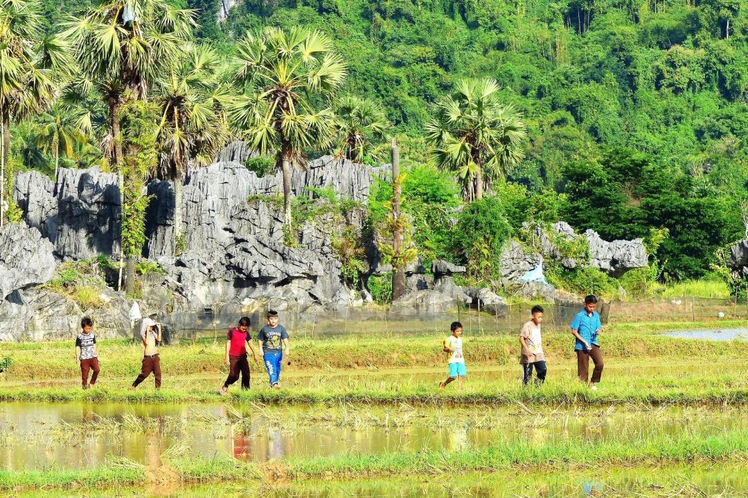 Photo of Others in Bantimurung