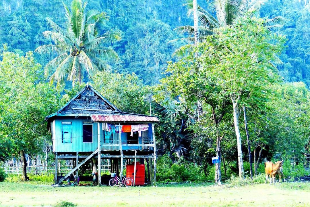 Photo of Others in Bantimurung