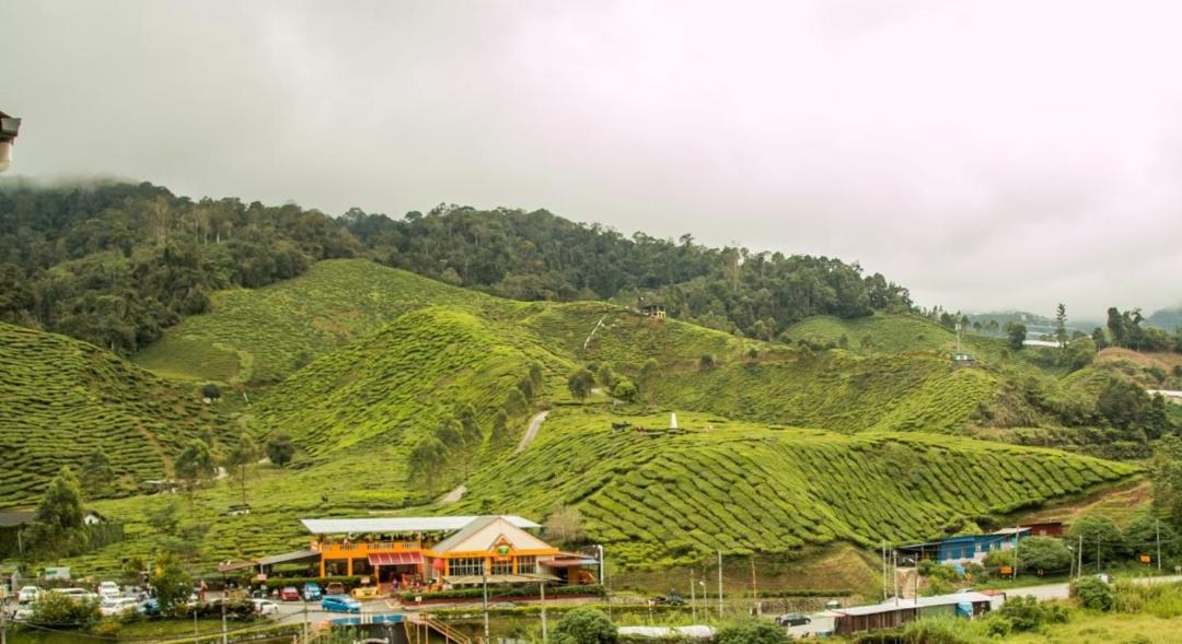 Photo of Others in Kuala Terla