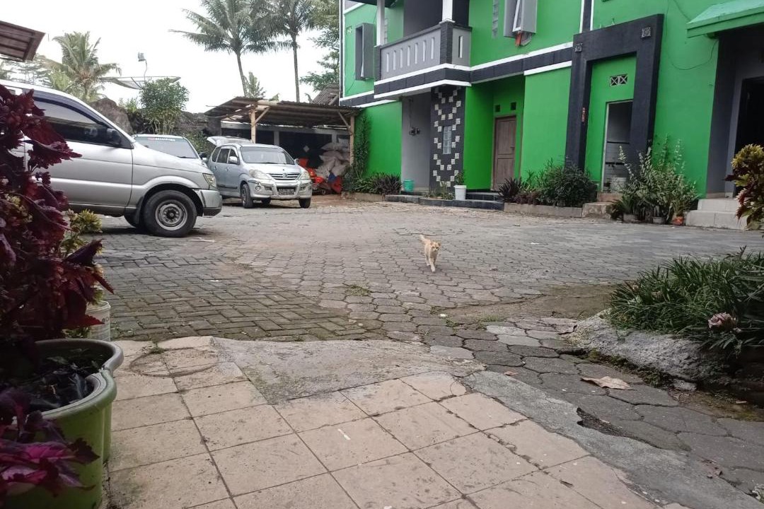 Photo of Buildings in Wonosobo