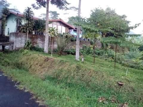 Photo of Others in Ruteng