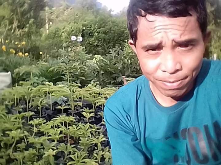 Photo of Human In Picture in Ruteng