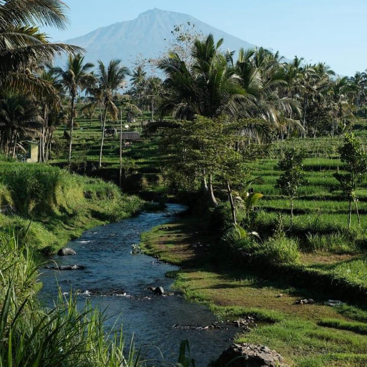 Photo of Outdoor in Kecamatan Pringgasela