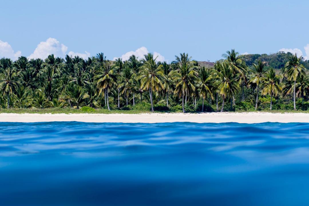 Photo of Others in Sumba