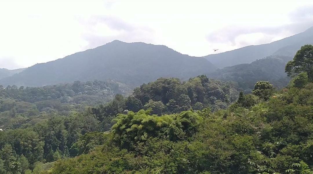 Photo of Outdoor in Ciloto